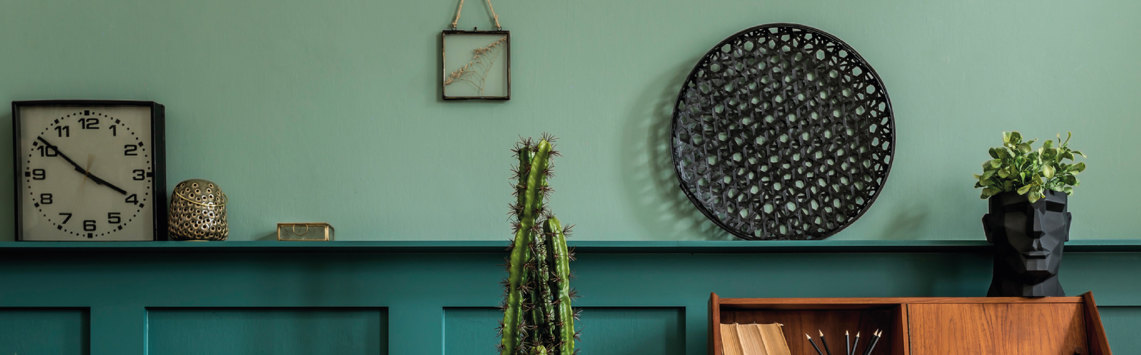 cacti in a living room