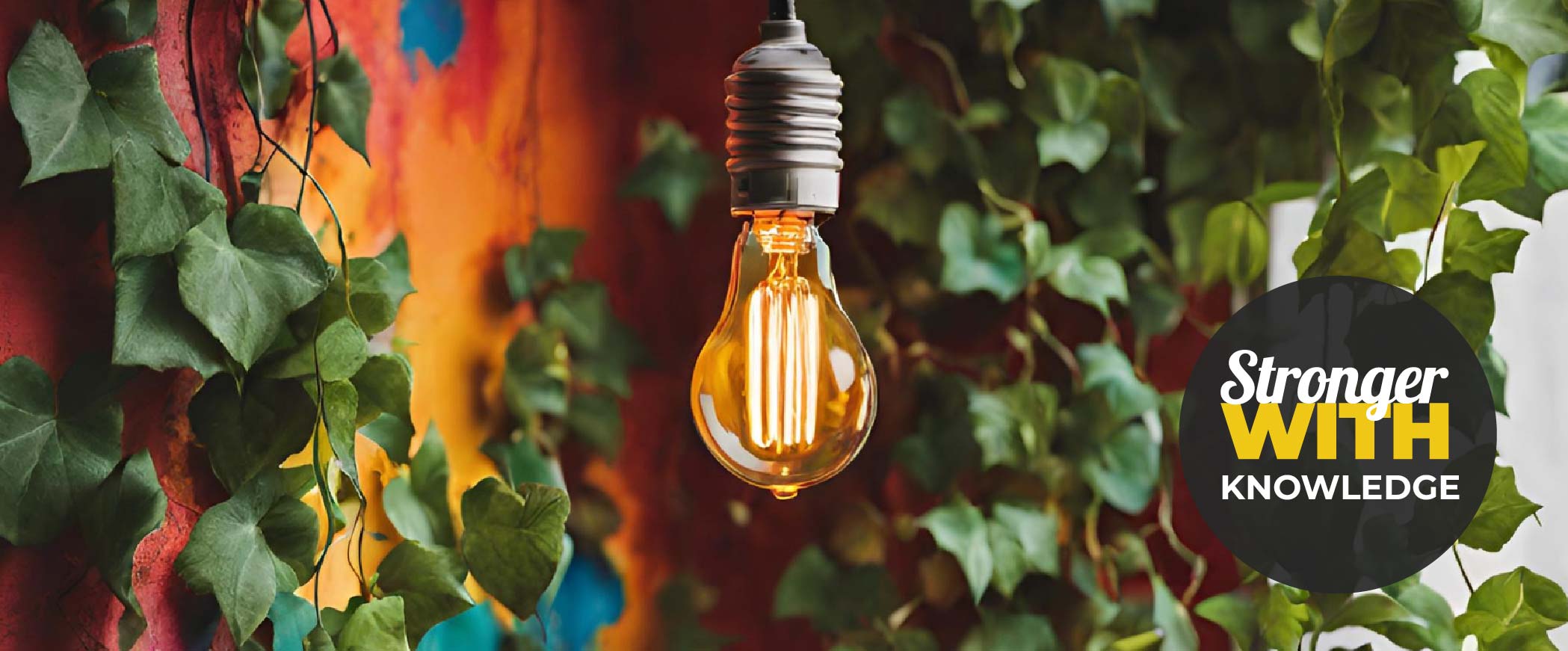 Hanging lightbulb in front of some leaves