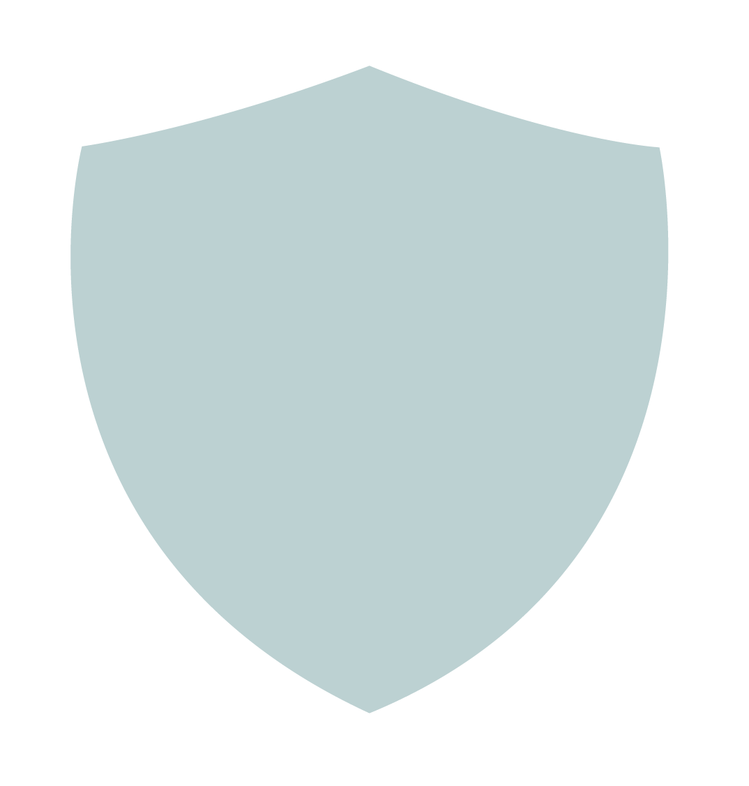 RP shield